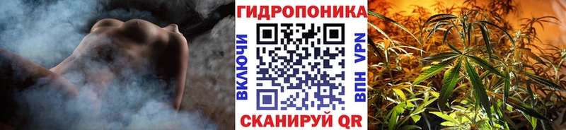 Где купить наркоту Верхоянск Cocaine  APVP  Псилоцибиновые грибы  Меф мяу мяу 