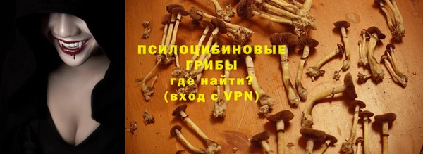 спайс Абинск