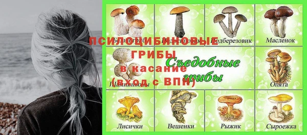 хмурый Россошь
