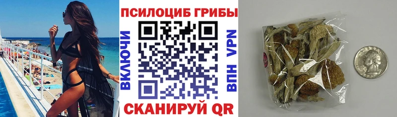 Галлюциногенные грибы мухоморы  Верхоянск 